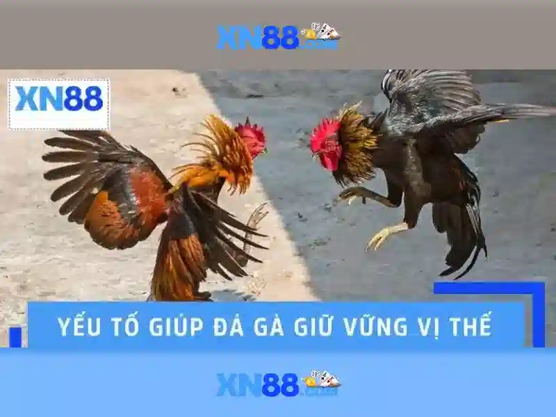  cá cược trực tuyến - XN88