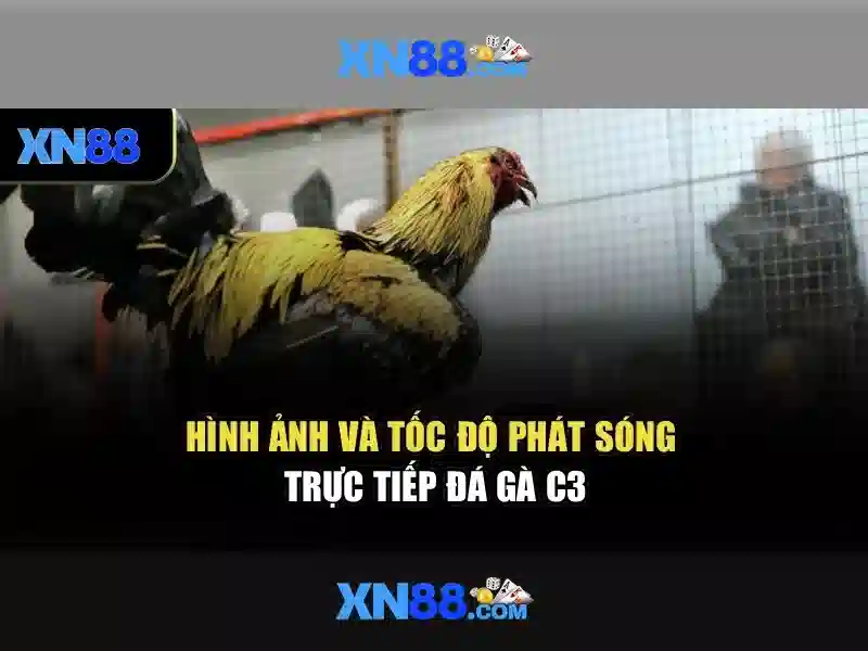 💎xem bóng đá trực tiếp kèo nhà cái hôm nay💎