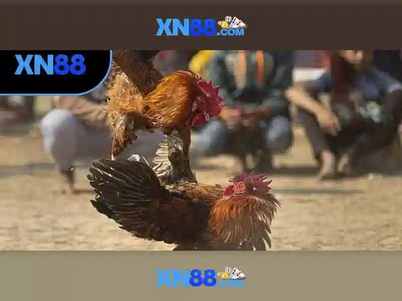 💎xn88 333 login register philippines💎