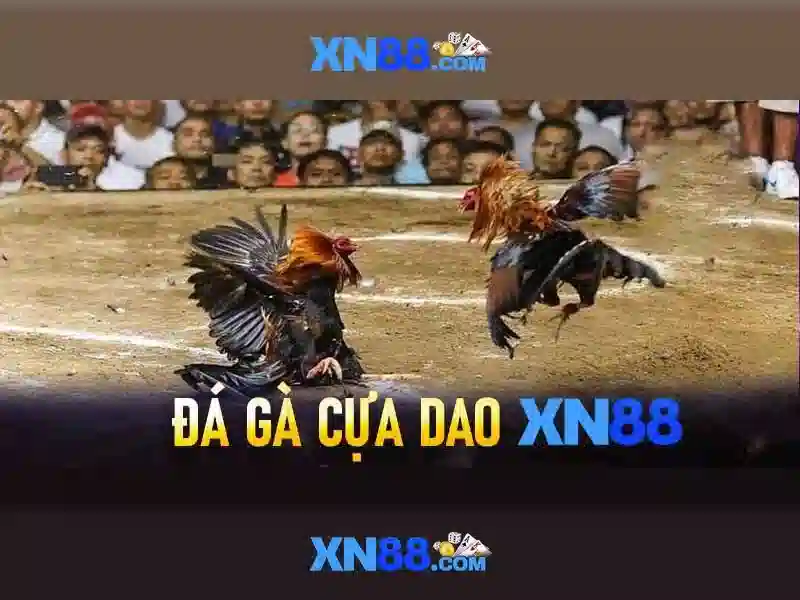 💎top 20 nhà cái uy tính💎