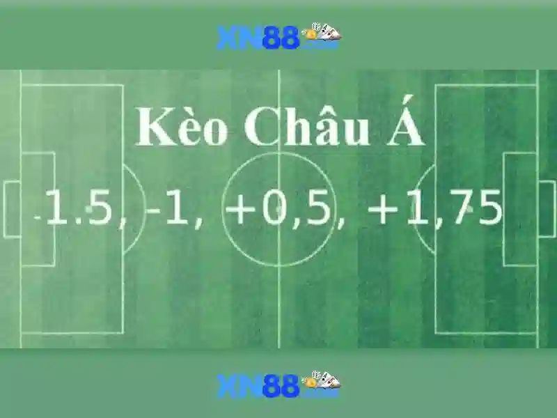 💎tylekeo nha cai💎