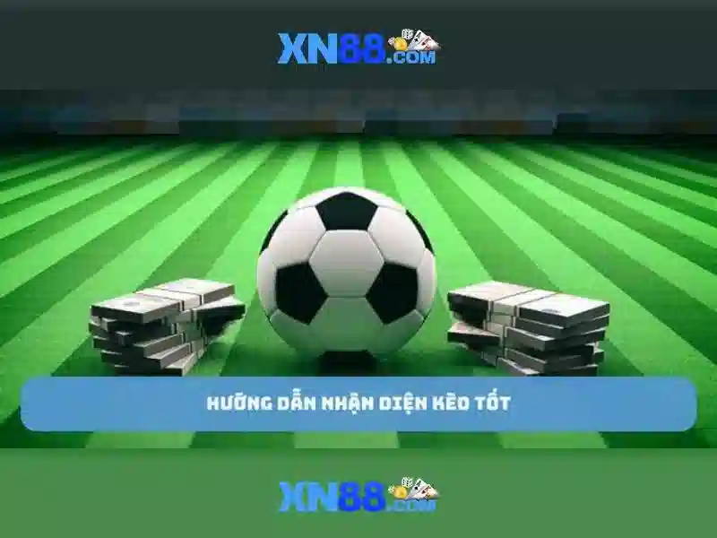 💎ninco slot car track💎