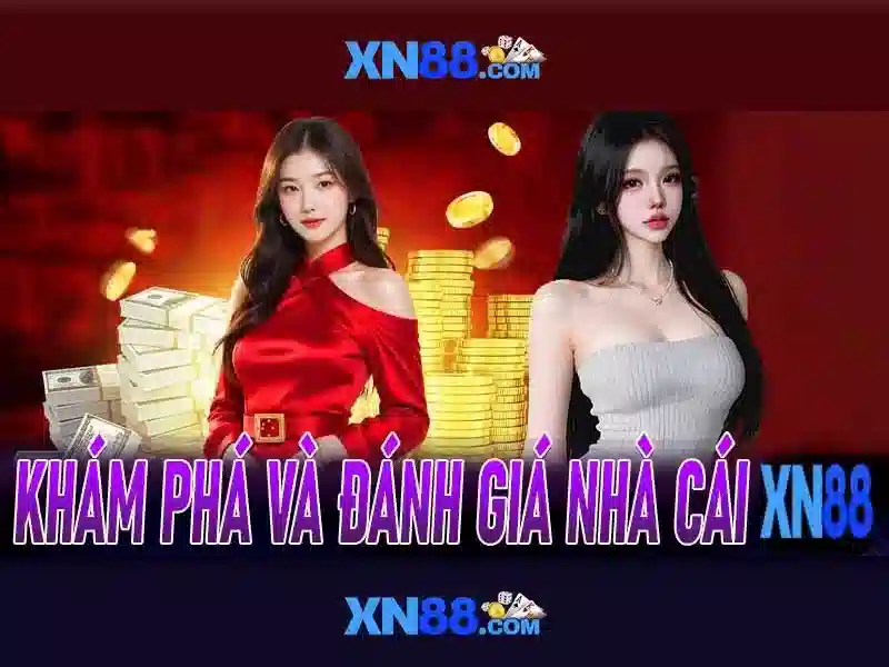 💎cá cược aoe💎