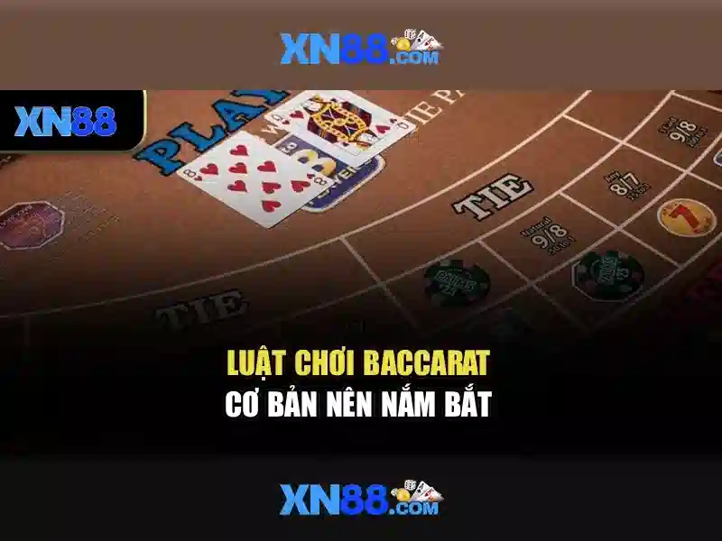 💎what is sc slot on hp elitebook💎