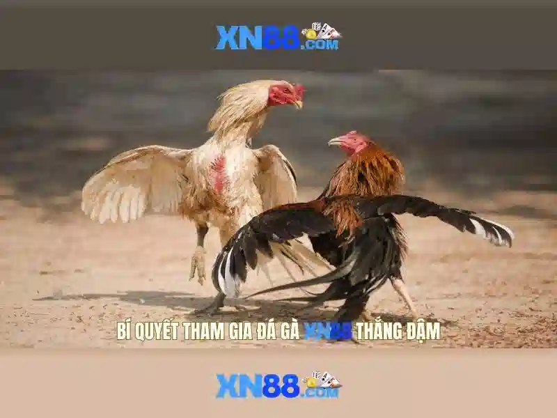 💎bong da com nha cai💎