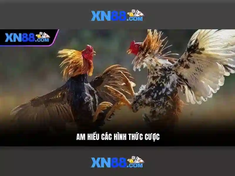 💎báo giá cải tạo nhà đà nẵng💎