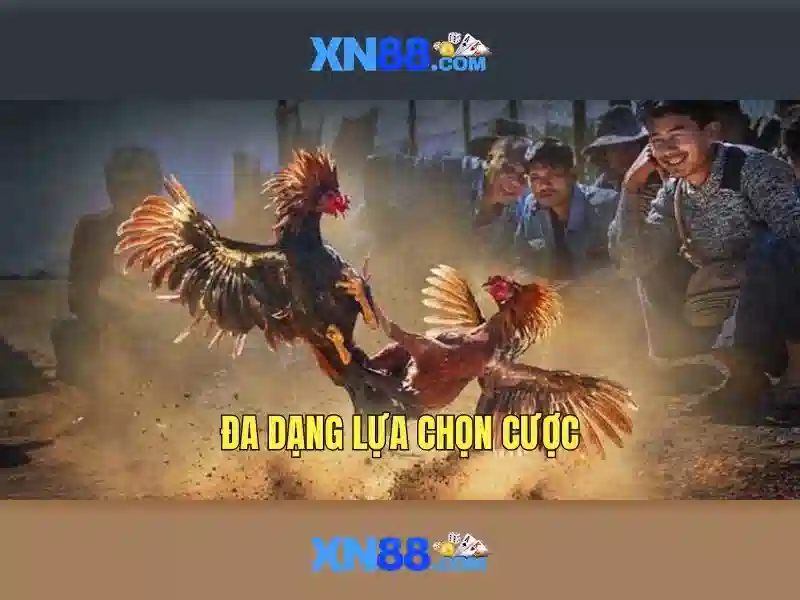 💎nhà cái số 1 online💎