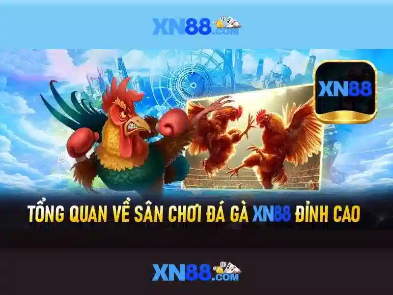 💎bk8 trang cá cược💎