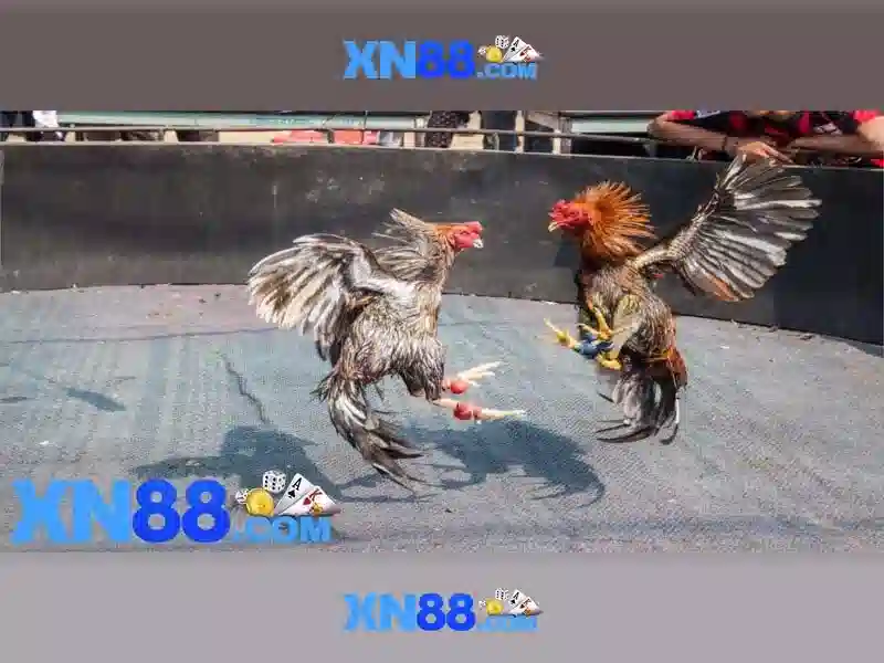 💎xn88 slot malaysia💎