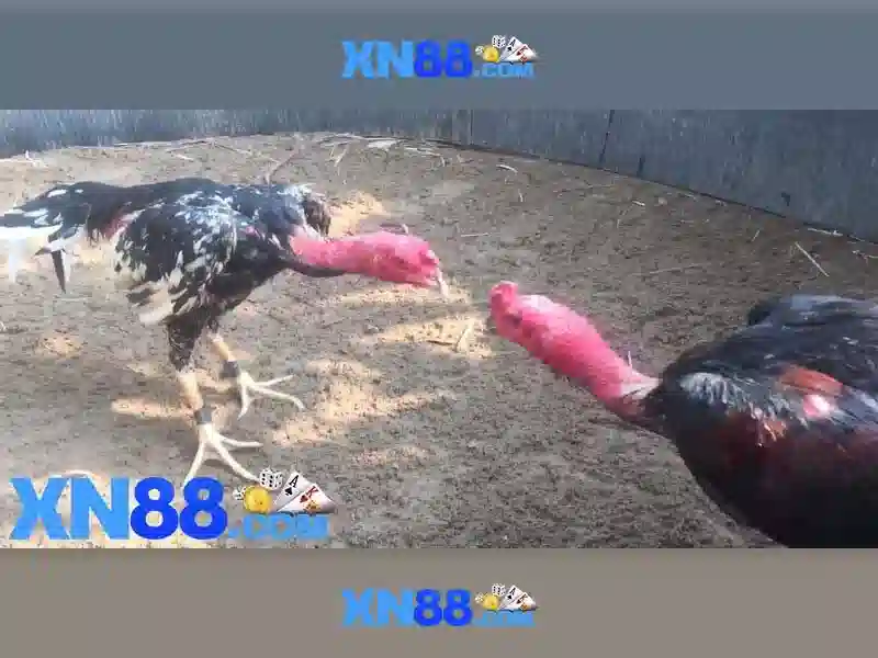 💎vụ thầy giáo đánh học sinh ở bắc giang💎