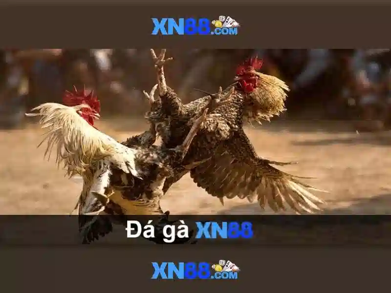 💎drawhilo slots💎