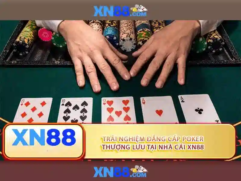 💎dự đoán kèo nhà cái💎