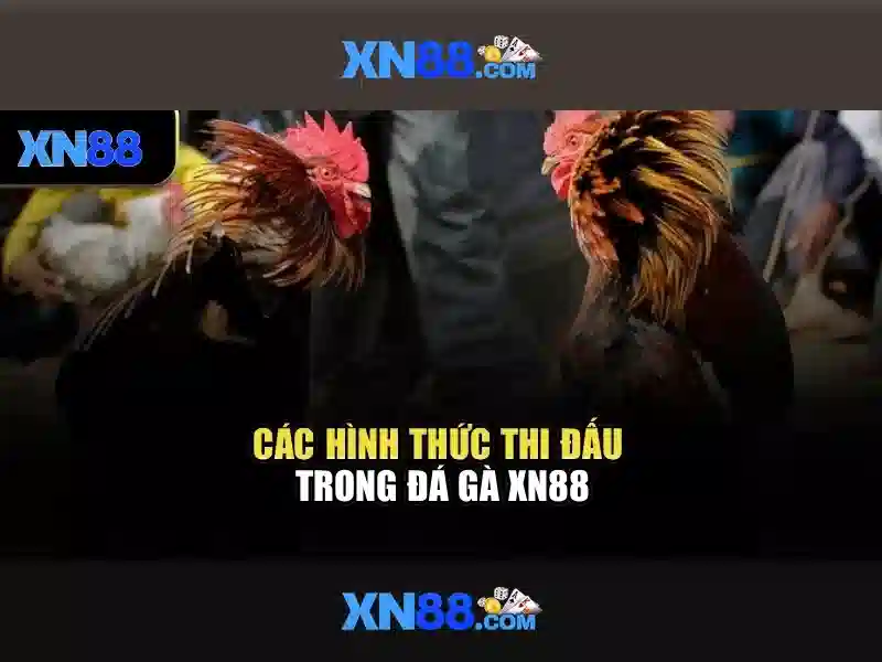 💎keo nha cai anh vs cong hoa sec💎