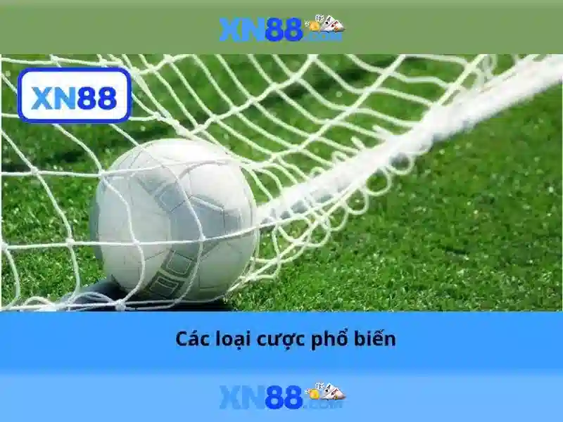 💎cước câu cá 2.0💎