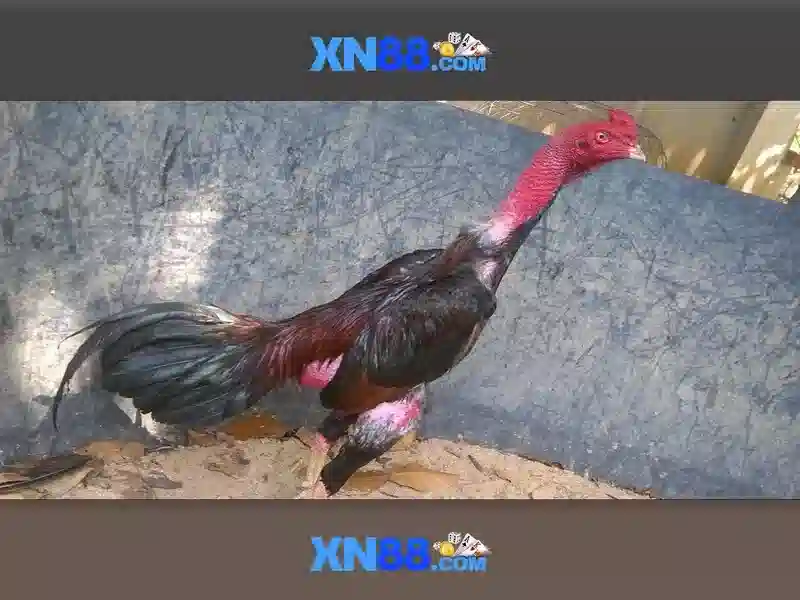 💎best slots sites uk💎