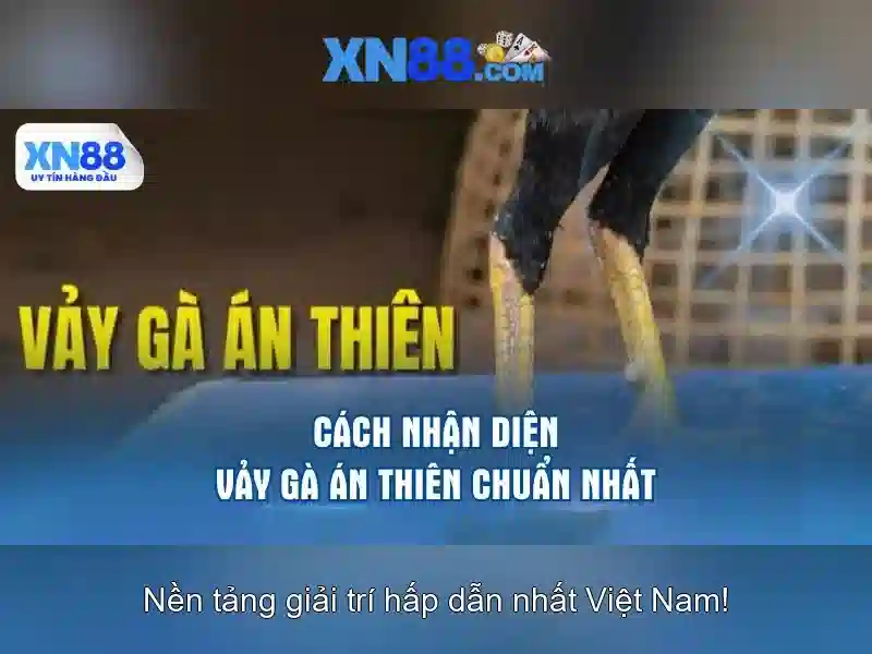 💎kèo nhà cái real madrid vs barca💎