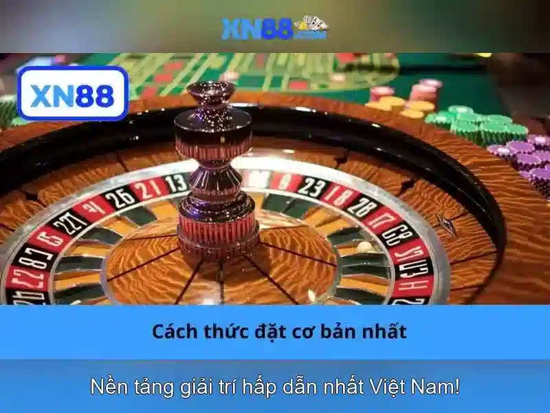 💎nha cái 5💎