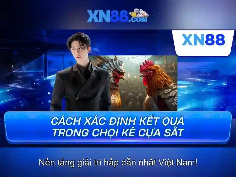 💎nhận định kèo cá cược💎