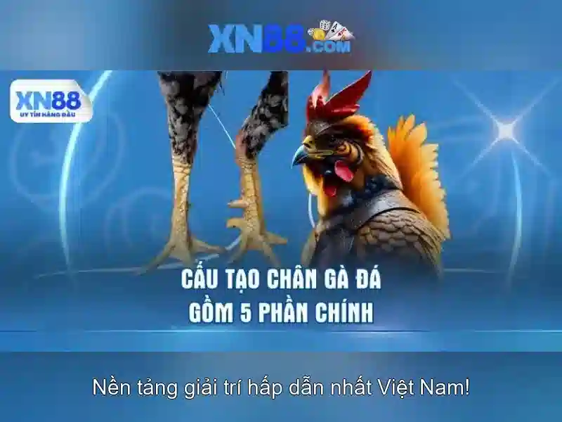 💎casino games free slots 4 you💎