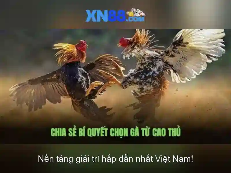 💎bat song bac o bien hoa dong nai💎