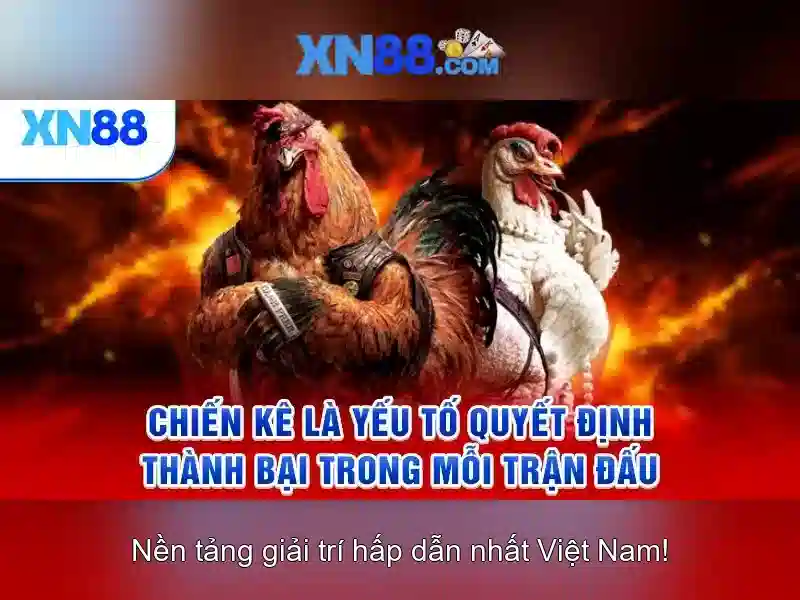 💎mod apk câu cá và cuộc sống💎