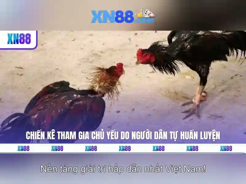 💎mang ca cuoc tinh hai chung ta💎