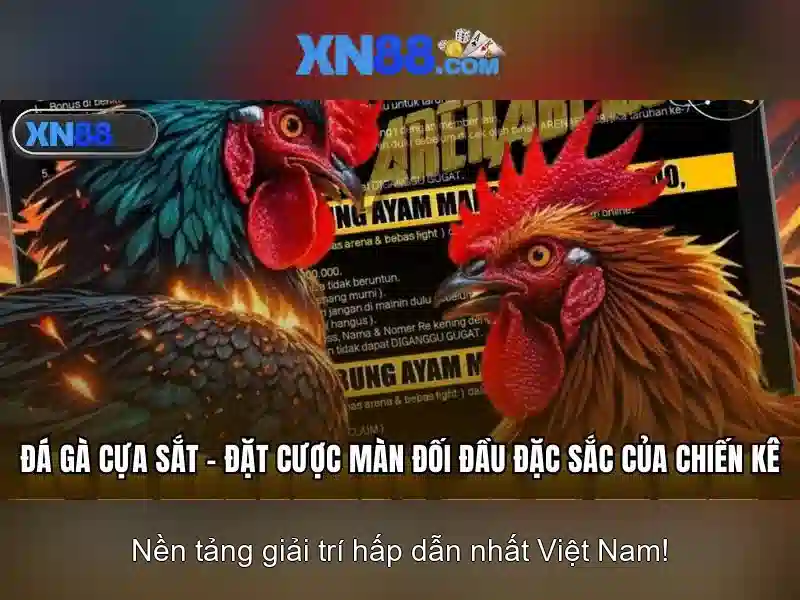 💎20 app cá cược bóng đá💎