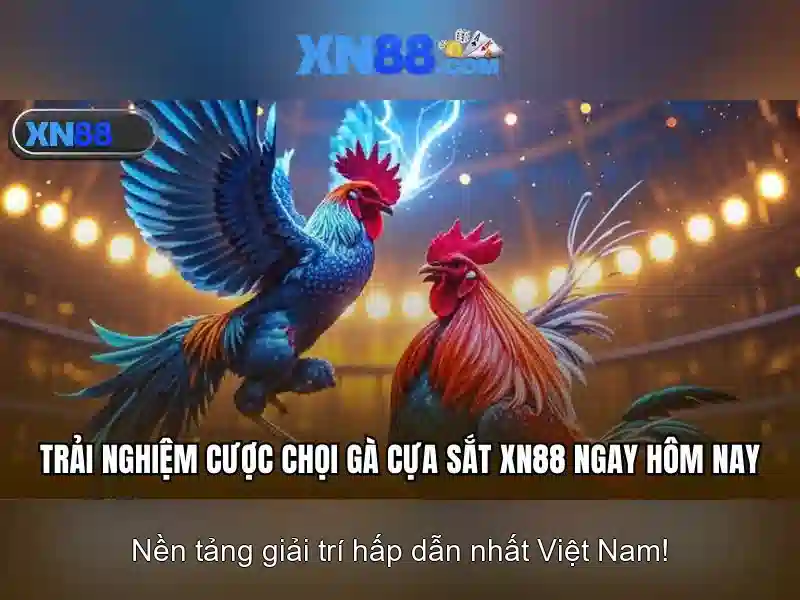 💎top 10 nhà cái uy tín giving💎
