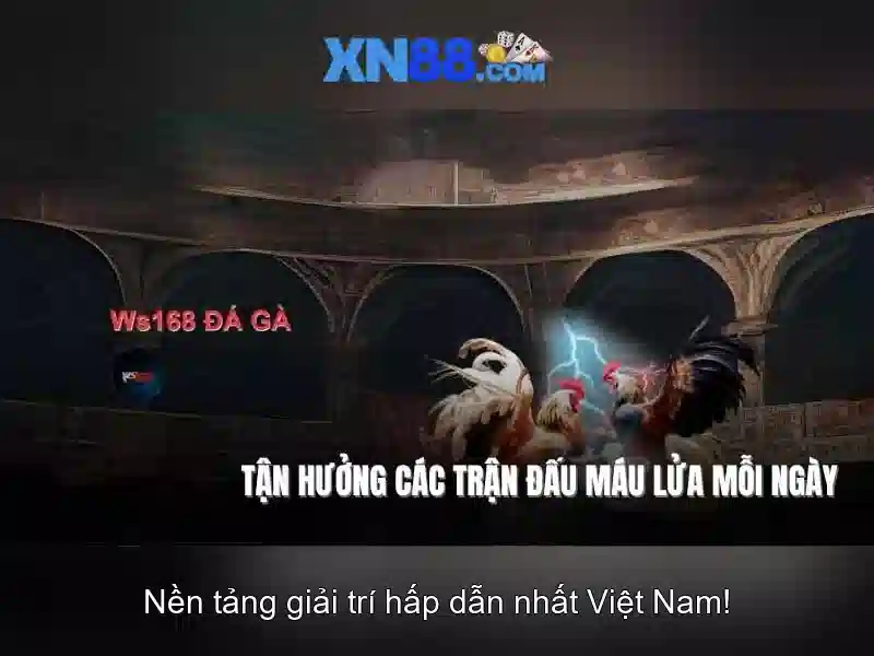💎qq xl slot💎