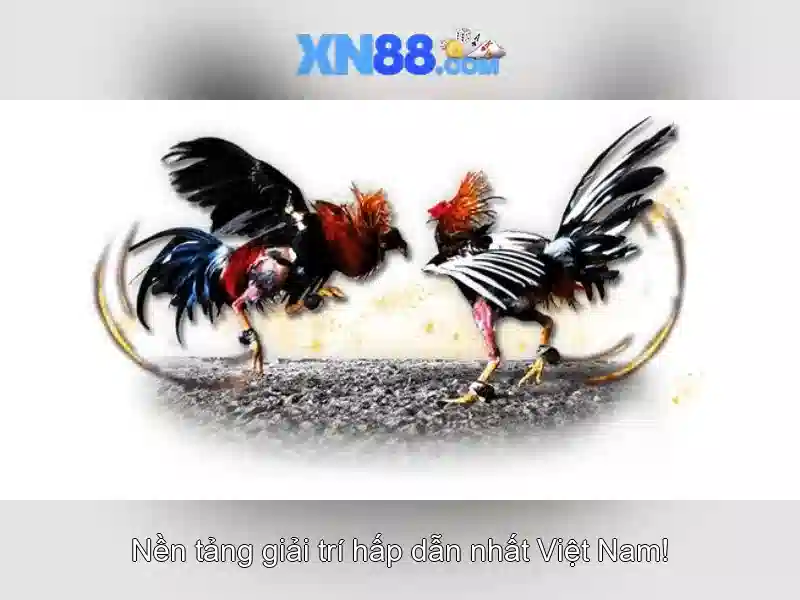 💎bắt kèo bóng đá chính xác nhất tại 888slot💎