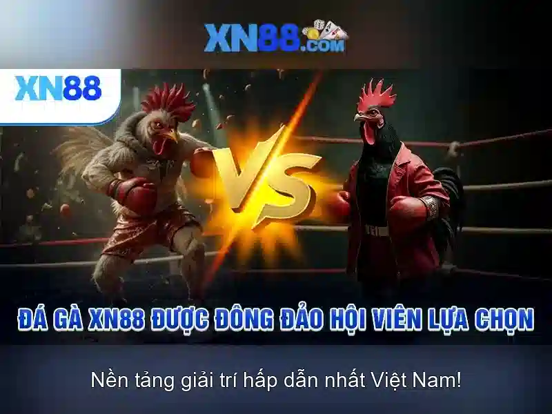 💎lịch phát sóng đài truyền hình bắc ninh💎