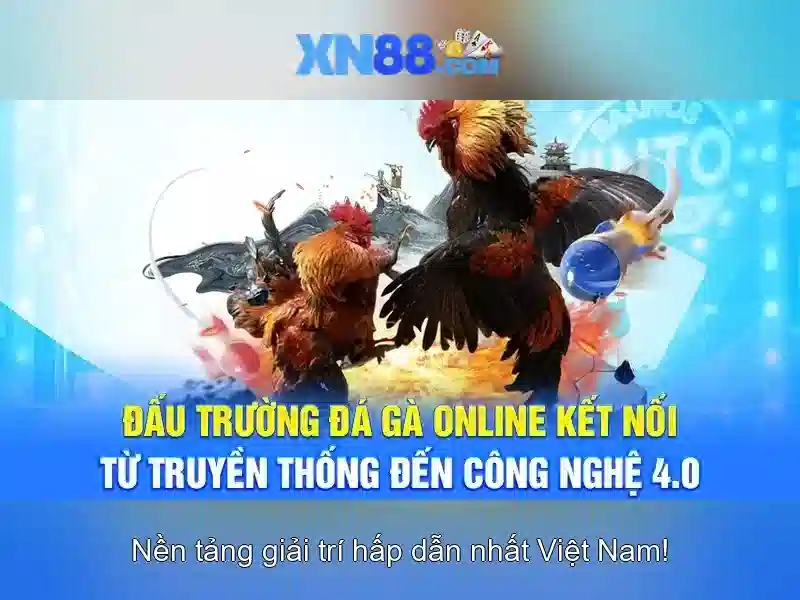 💎trang ca cuoc bong da auto💎