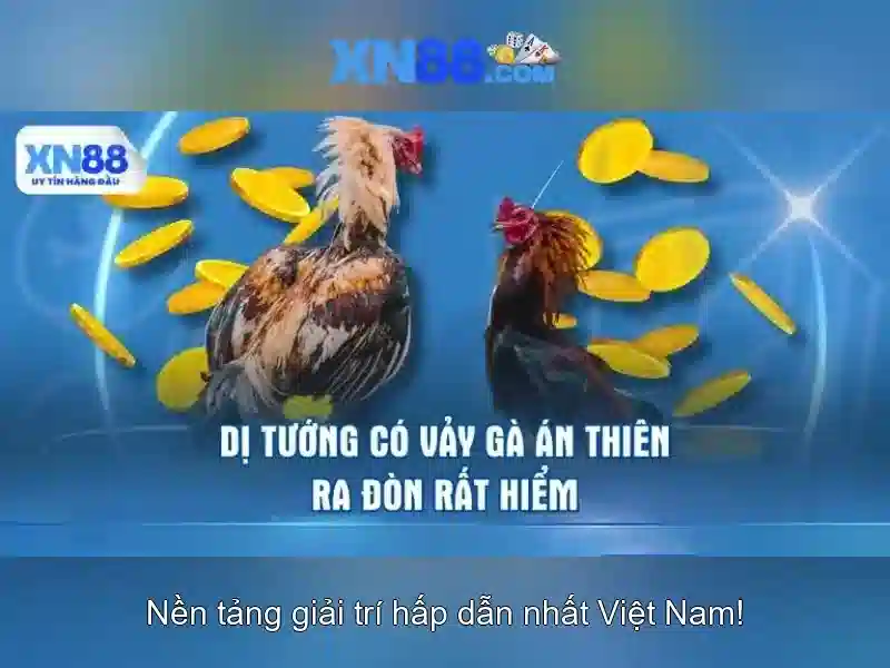 💎kèo cá cược chelsea💎