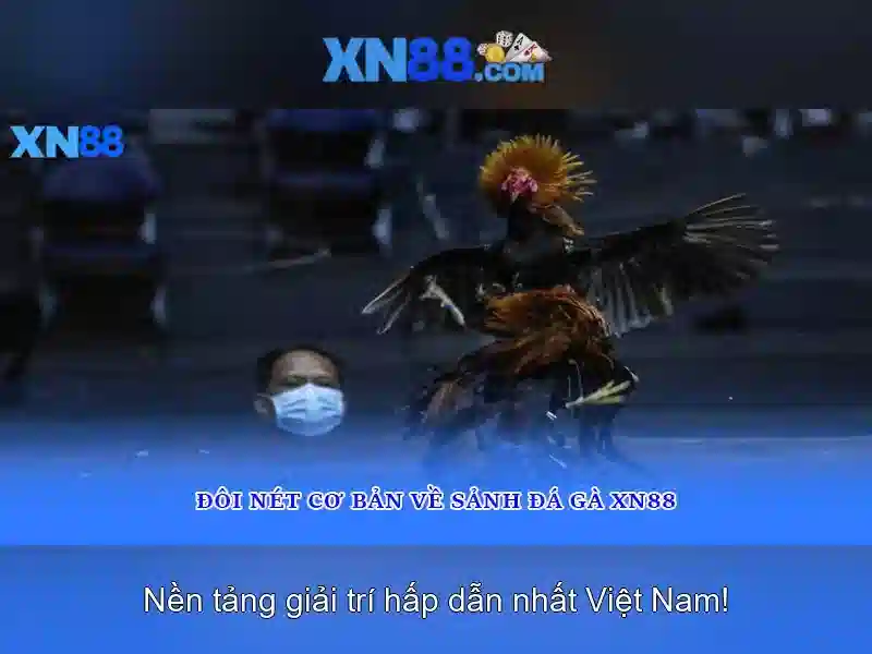 💎game nổ hũ 11bet wiki💎