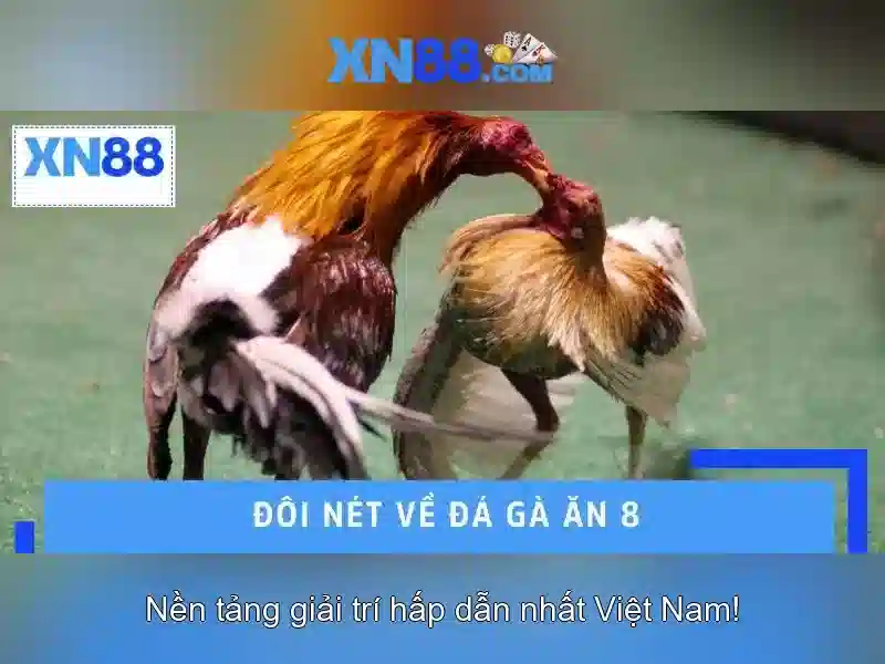 💎188bet - nhà cái 188bet uy tín hàng đầu💎