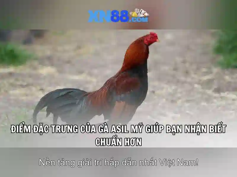 💎agen xn88 slot💎