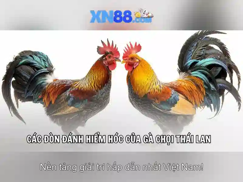 Hướng dẫn đăng ký XN88 Với Một Vài Thao Tác Cơ Bản và xn88 win - XN88
