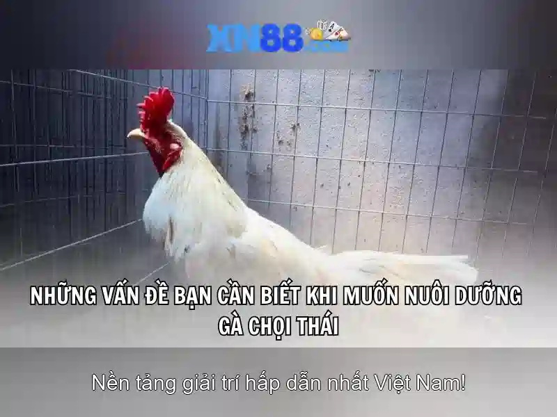 💎em gái đến nhà bạn trai và cái kết sex💎