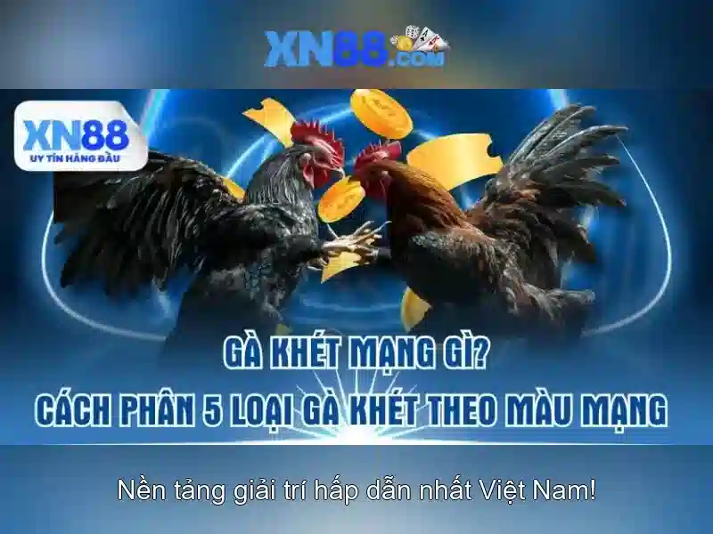 💎8xbet casino trang chủ nhà cái 8xbet💎