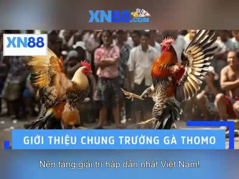 💎phần mềm hack game nổ hũ yes 8💎