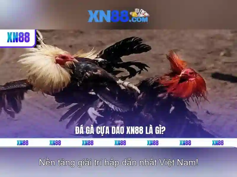 💎sunrise slots bonus codes💎