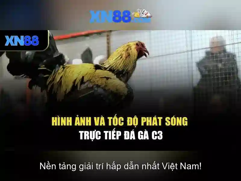 💎bet365 nha cai💎