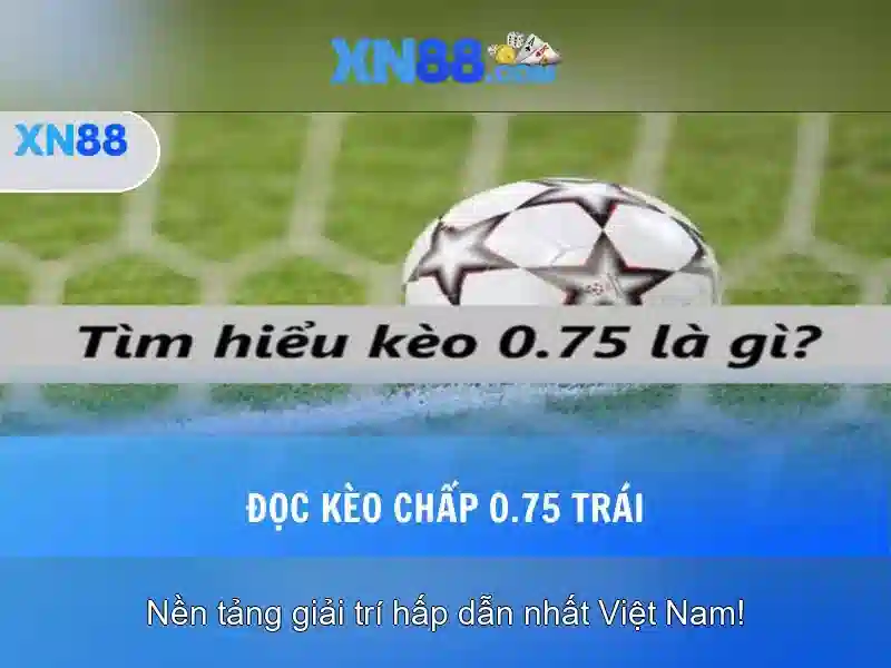 💎cá cược chương 25💎