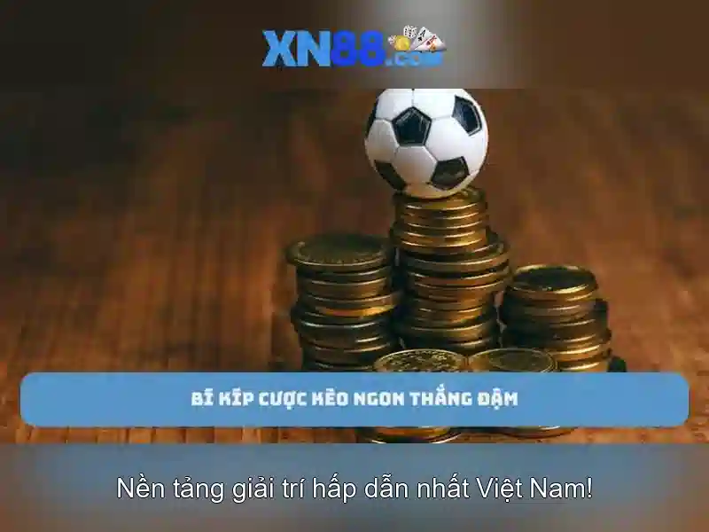 💎công ty cá cược bóng đá tại việt nam💎