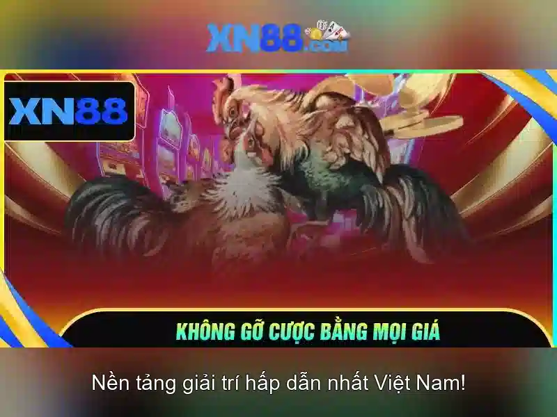 💎ty le nha cai keo💎