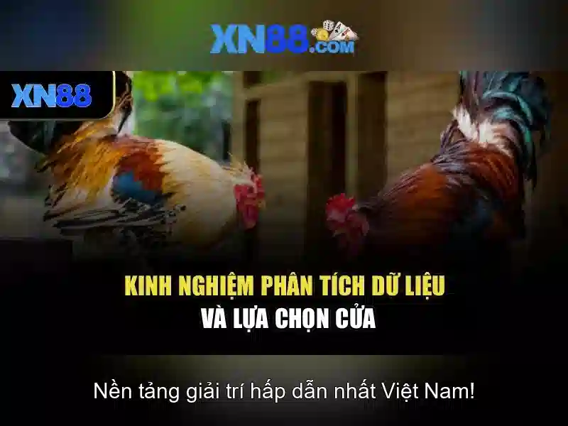 💎trang cá cược bầu cử tổng thống mỹ💎