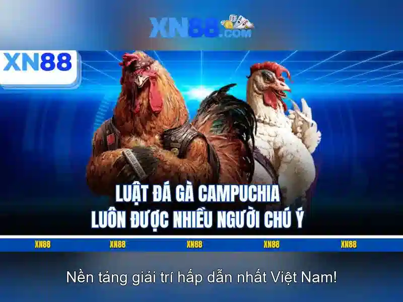💎bảng cá cược world cup💎