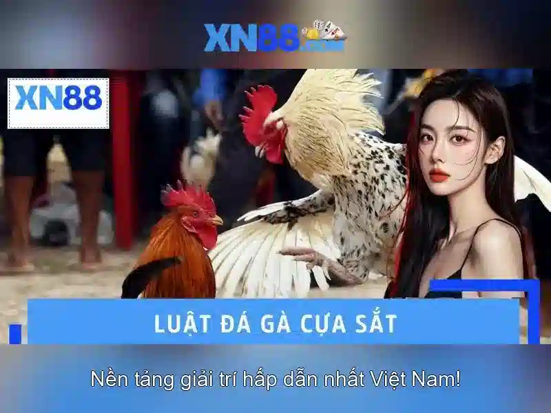 💎tỷ lệ kèo nhà cái 206💎