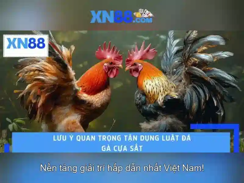 💎tỷ lệ kèo nhà cái morganbrian.com💎