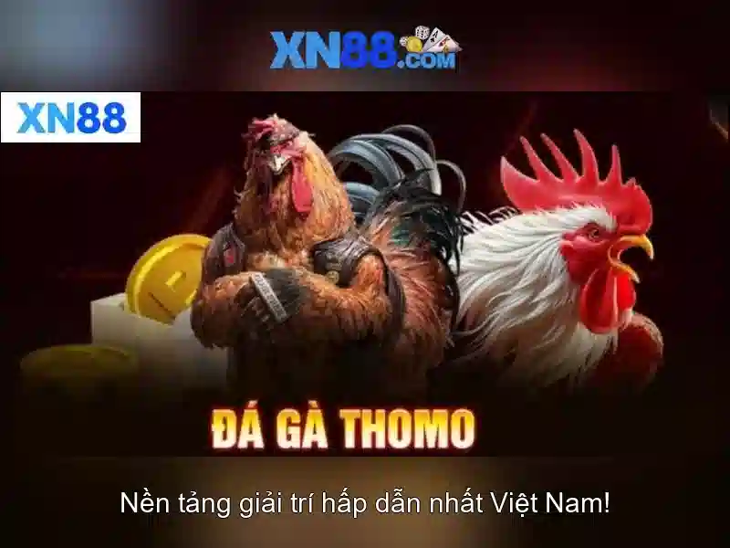 💎xn88 mail hà nội💎